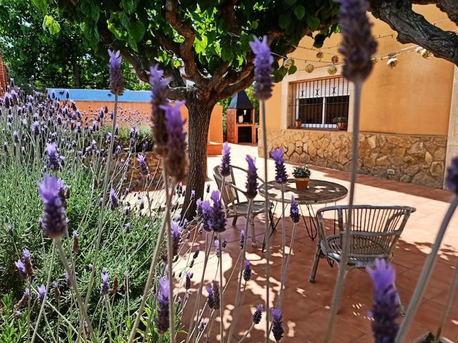 Mas Del Vent- Barbacoa, Jardin, Piscina Privada Y Vistas A Mar Villa คูนิต ภายนอก รูปภาพ